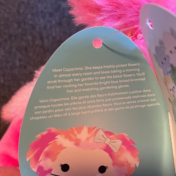 8ā Caparinne Squishmallow - Picture 4 of 4